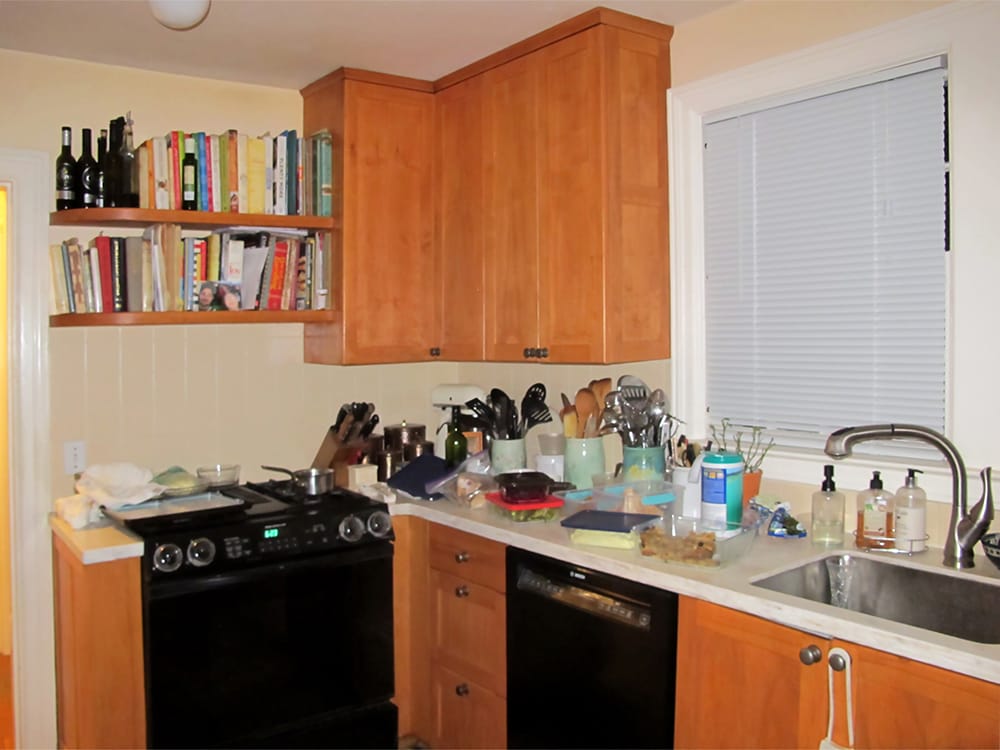 A Jenn Air down draft stove had lived there before, and had died.