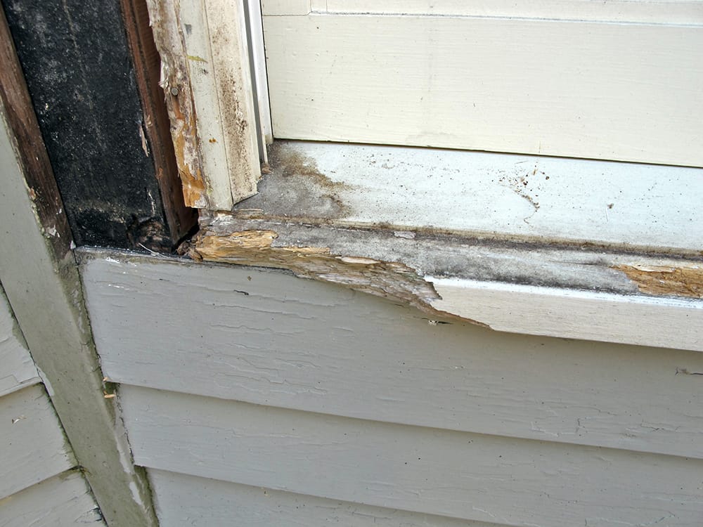 Sometimes the rot doesn’t go back too far, so we can replace only the nosing.