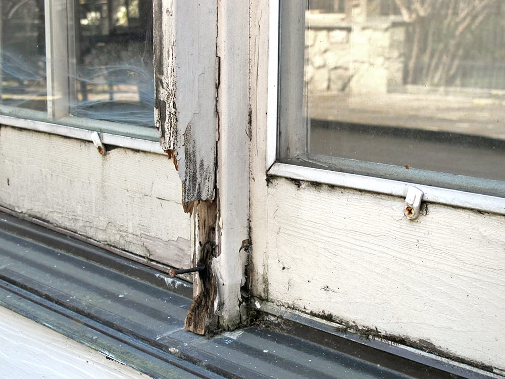 A view of the other side, after we peeled off some rot.